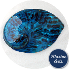 8580-P16 - Polished Aqua Abalone  100-125mm